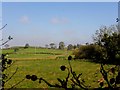 Carrigullian Townland