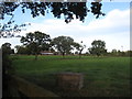 Pasture lands at Wallange Paddocks Farm