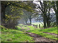 Farm track near Carsie