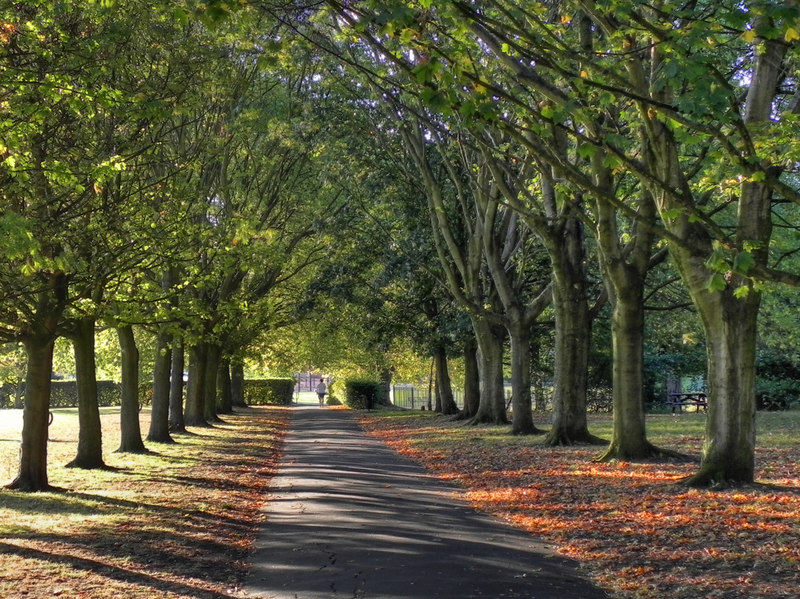 Ladybarn Park © David Dixon :: Geograph Britain and Ireland