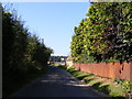 TM3444 : Bushey Lane, Hollesley by Geographer