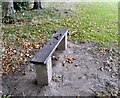 Bench with chestnuts