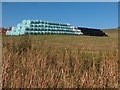 Bales of silage in plastic wrapping at Holdworth