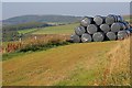 Bales of Silage, Wayworth Farm