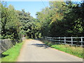 The road to Bucklesham Wood