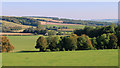 2011 : East into the Chitterne Brook Valley