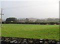 View across pasture land to cottages on the A25