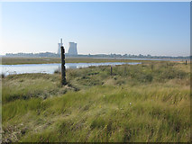 TR3462 : Marshes on Sandwich Bay, near the mouth of the river by Nick Smith