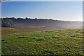 Across Rolling Fields Towards Berkhamsted Common