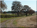 Track near Hilltop Farm