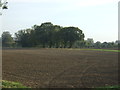 Farmland off Scalm Lane