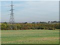 SE4810 : Pylon at the edge of woodland by Christine Johnstone