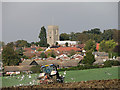 Seagulls following the plough, south of Framlingham