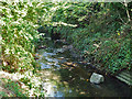 River Pool below Worsley Bridge