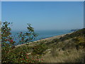 Looking across Beltinge cliffs from The Lees