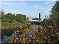 River Calder