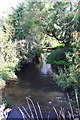 Childrey Brook from bridge near Venn Mill