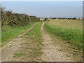 Field access lane leading northwards from the A2