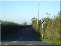 Scotts Lane leading to Catcott from A39