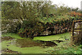 Disused lock no 13 near Lisburn