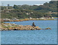 Fisherman near Pont Rhydbont / Four Mile Bridge