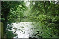 Fish pond, Swanton Valley