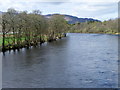 River Tummel, Pitlochry