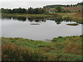 Pond at Murton