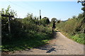 Bridleway,  Abbotsbury