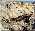 Shipwreck remains, Bangor