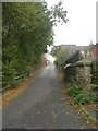 Rooms Lane - viewed from Chestnut Gardens