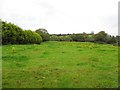 Lisnamore Townland