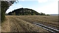 Waterlogged field under Craigforth