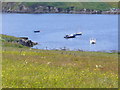 Moorings by Cnoc na Crich