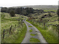 Track Towards Barons Farm