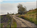 Track at the end of Plantation Road