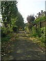 Gladstone Terrace - viewed from Queen