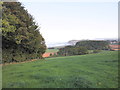 View towards Blue Anchor, from Carhampton Knapp