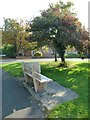 Seat on Charlton village green