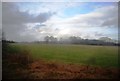 Countryside near Whatlington