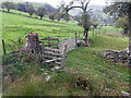 Stile and tree stump