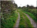 Ward Lane (track) near High Mickley