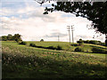 Electricity poles in pasture east of St Mary