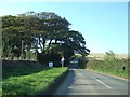 Road passing Woolston Farm entrance