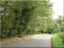 TF7335 : Lane near Fring Hall, Norfolk by Richard Humphrey