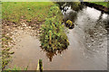 River Lagan, Coolsallagh near Dromore (2)