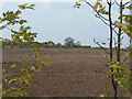 Fields on the edge of Cropwell Wolds