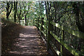 Nottingham Canal Path