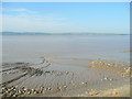 The Severn estuary