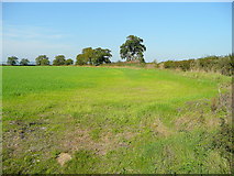 ST6598 : Farmland north of Severn Lane by Jonathan Billinger